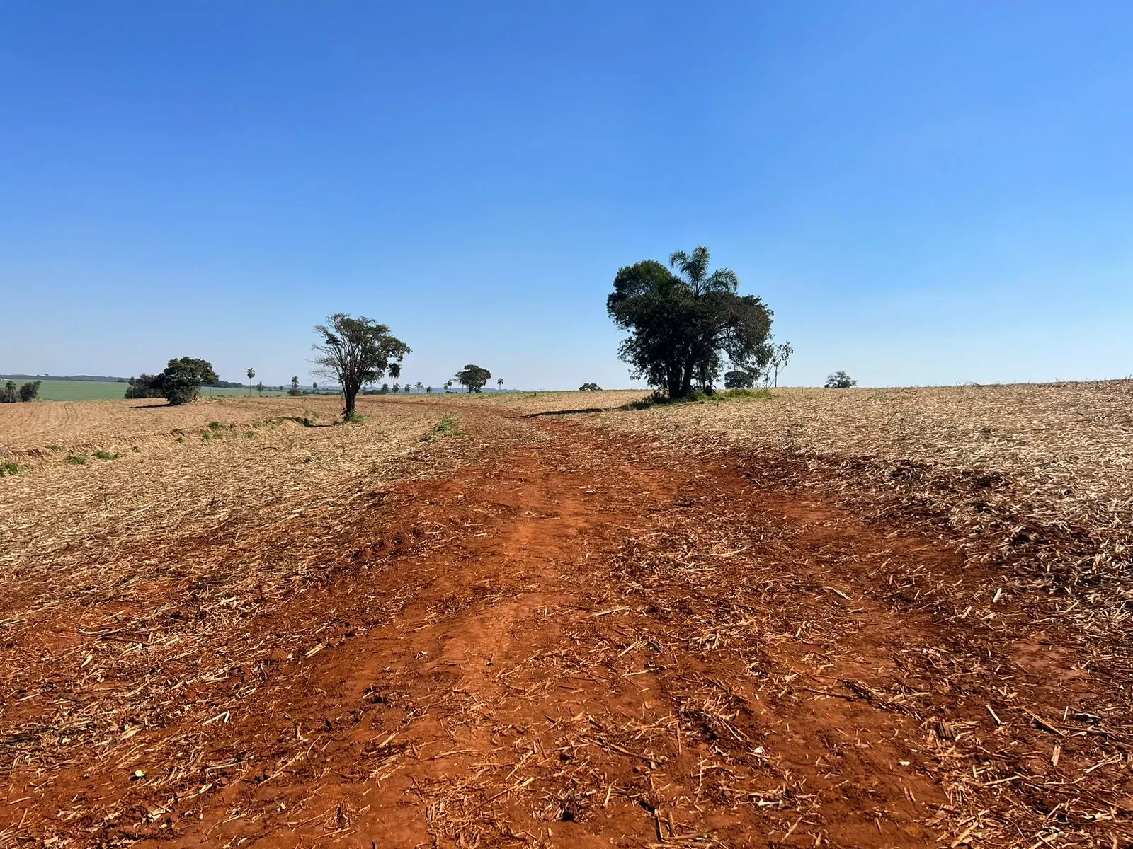 Fazenda à venda de 428 ha em Avaré, SP, Brasil