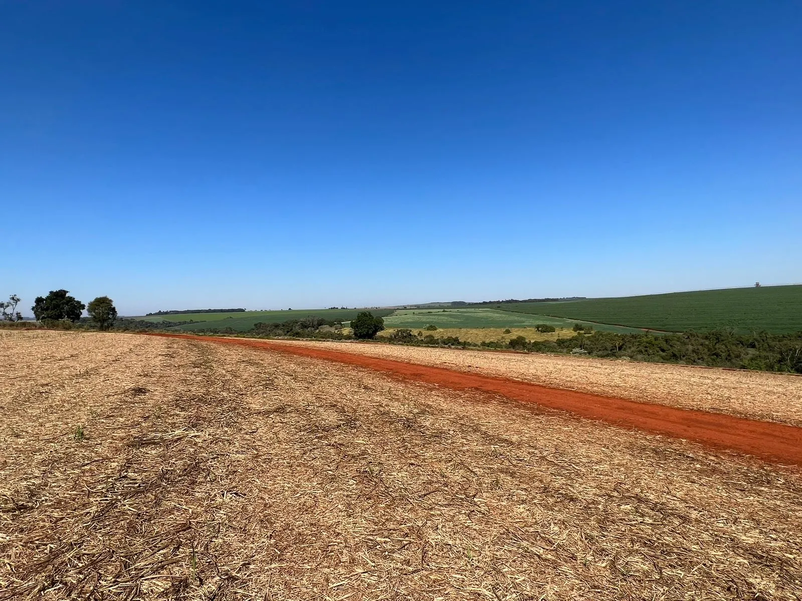 Fazenda à venda de 428 ha em Avaré, SP, Brasil