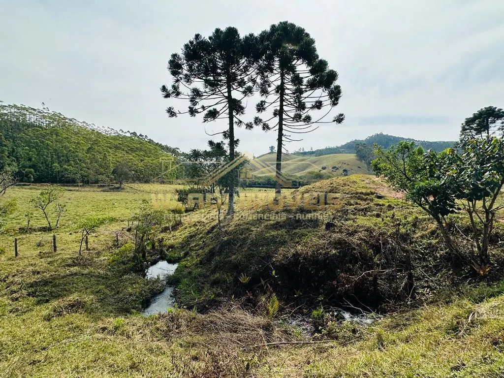 Fazenda à venda de 82 ha em Joanópolis, SP, Brasil