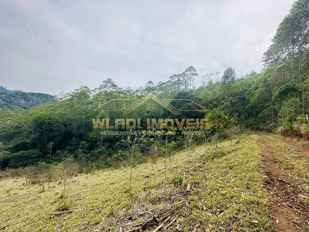 Fazenda à venda de 82 ha em Joanópolis, SP, Brasil