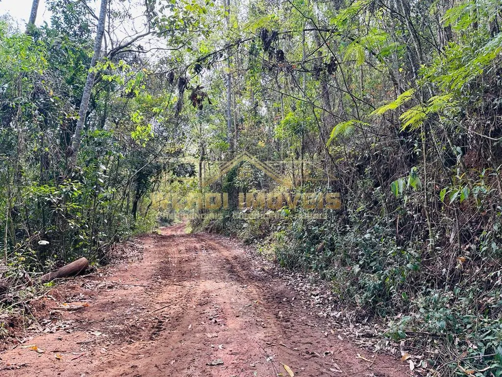 Fazenda à venda de 82 ha em Joanópolis, SP, Brasil