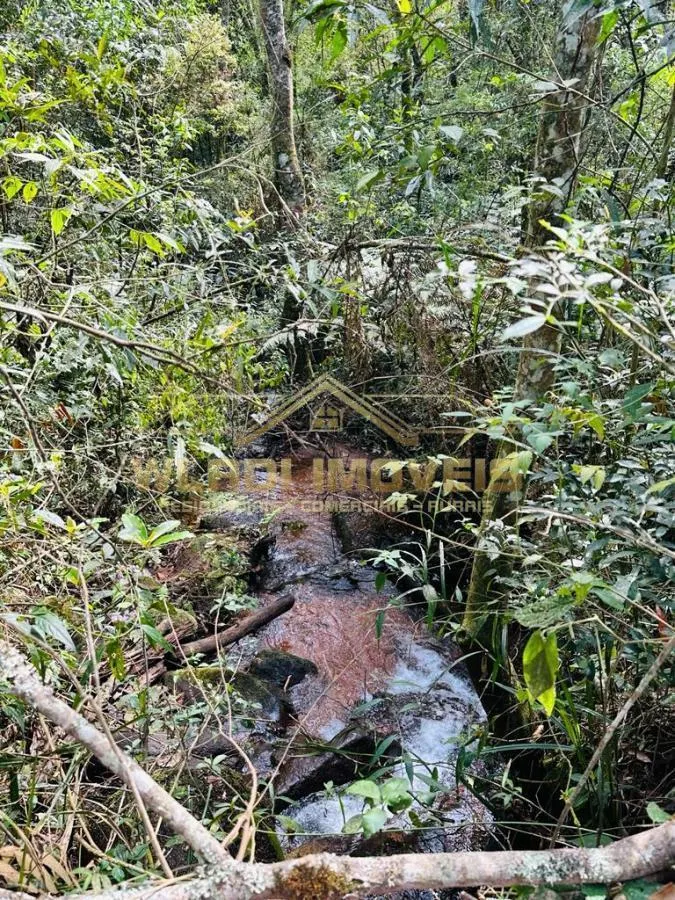 Fazenda à venda de 82 ha em Joanópolis, SP, Brasil