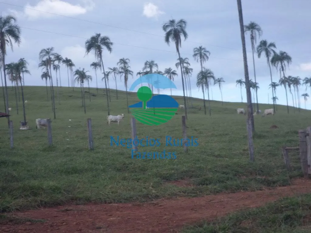 Fazenda à venda de 1.113 ha em Barro Alto, GO, Brasil