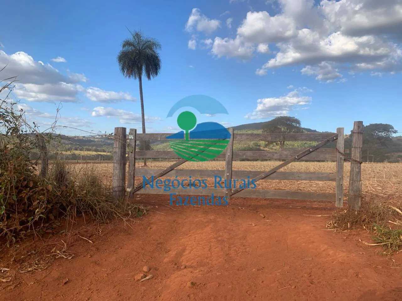 Fazenda à venda de 1.113 ha em Barro Alto, GO, Brasil