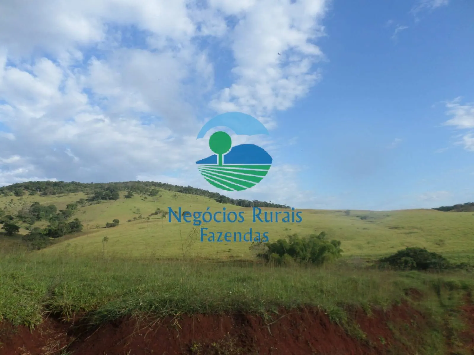 Fazenda à venda de 1.113 ha em Barro Alto, GO, Brasil