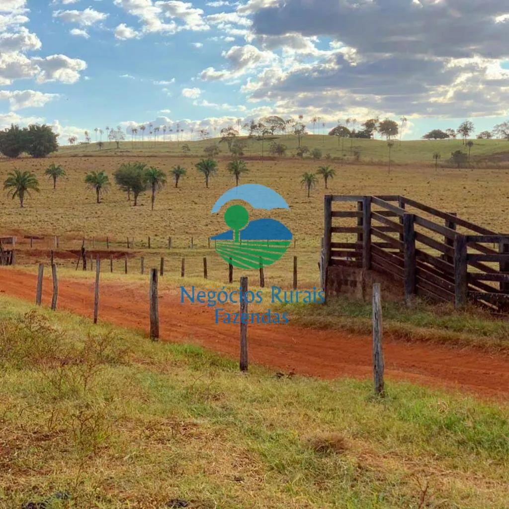 Fazenda à venda de 1.113 ha em Barro Alto, GO, Brasil