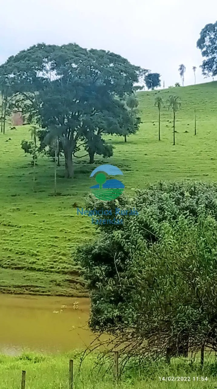 Fazenda à venda de 1.113 ha em Barro Alto, GO, Brasil