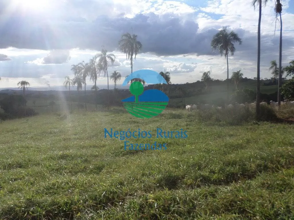 Fazenda à venda de 1.113 ha em Barro Alto, GO, Brasil