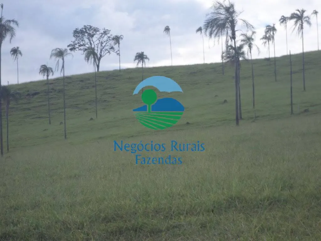 Fazenda à venda de 1.113 ha em Barro Alto, GO, Brasil