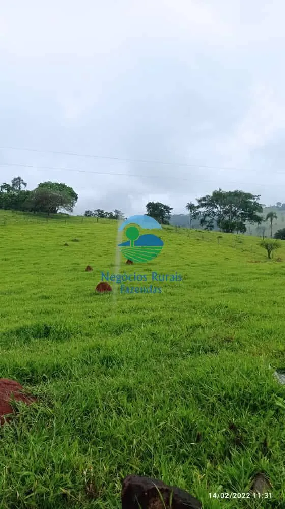 Fazenda à venda de 1.113 ha em Barro Alto, GO, Brasil