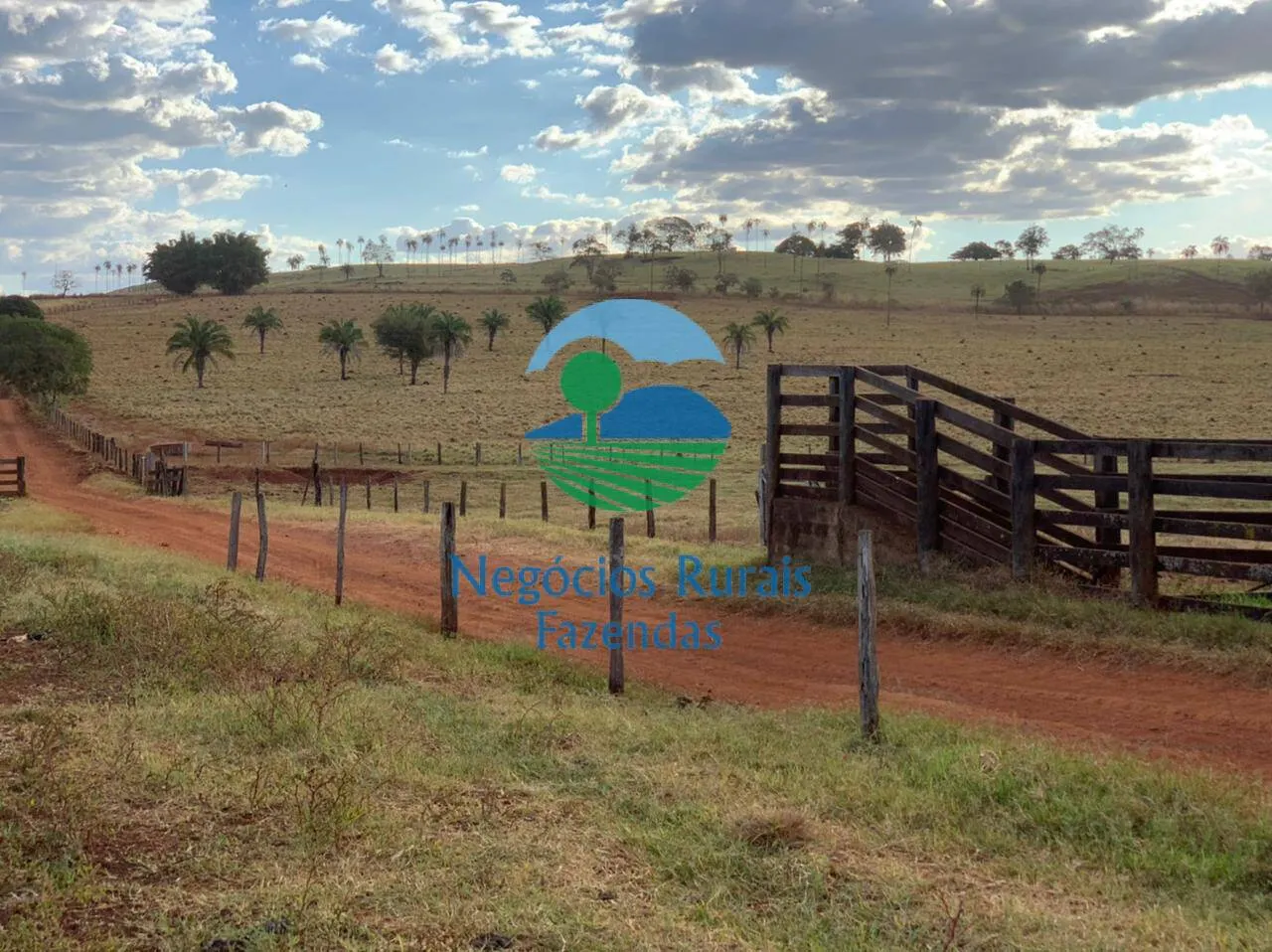 Fazenda à venda de 1.113 ha em Barro Alto, GO, Brasil