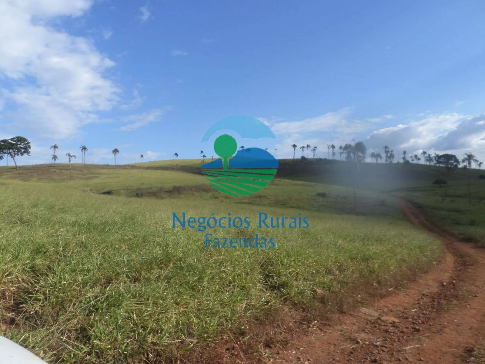 Fazenda à venda de 1.113 ha em Barro Alto, GO, Brasil