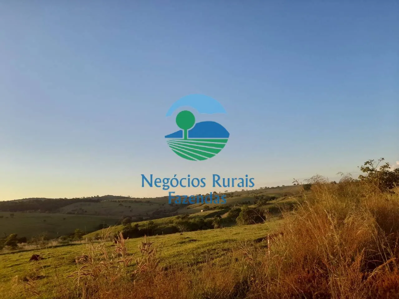 Fazenda à venda de 1.113 ha em Barro Alto, GO, Brasil