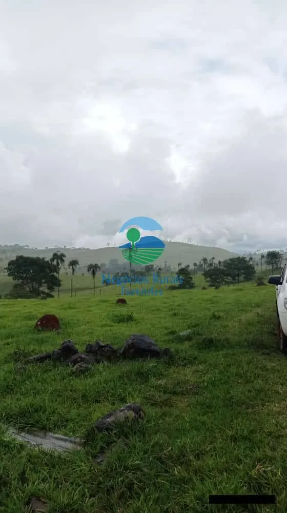Fazenda à venda de 1.113 ha em Barro Alto, GO, Brasil