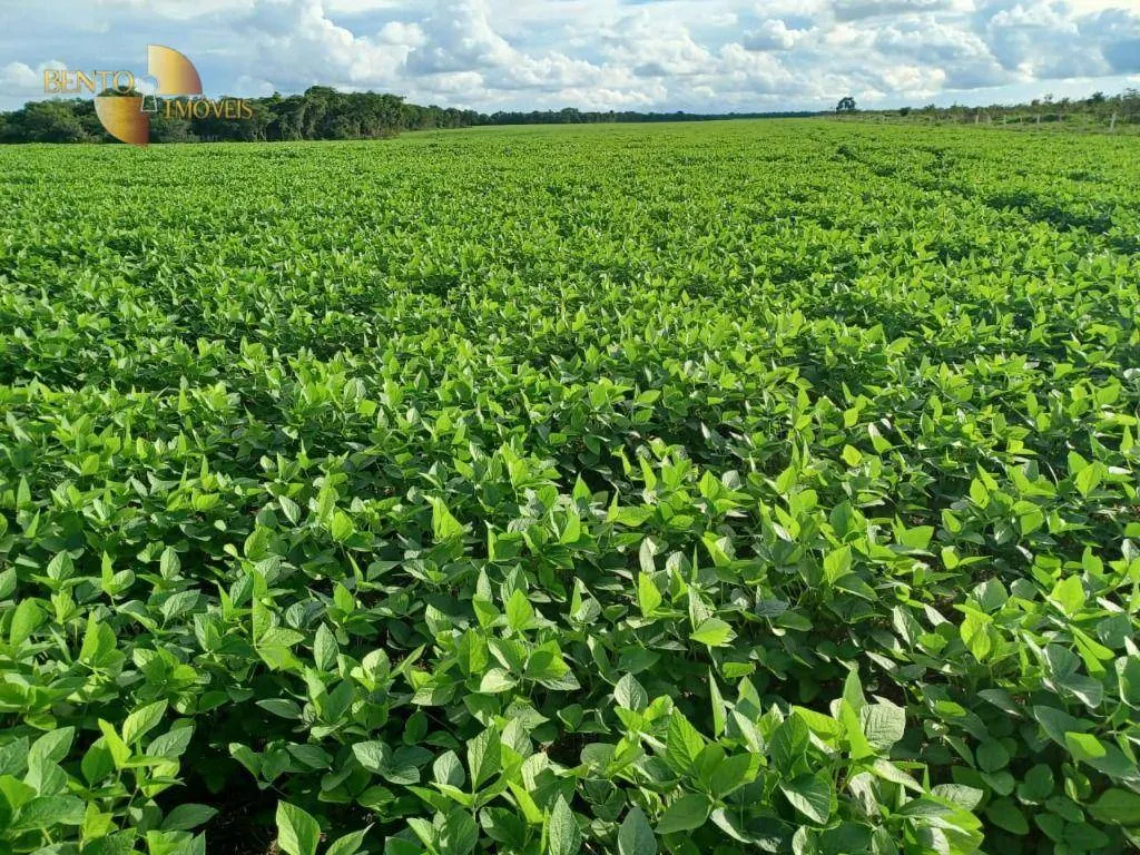 Fazenda à venda de 2.208 ha em Canarana, MT, Brasil