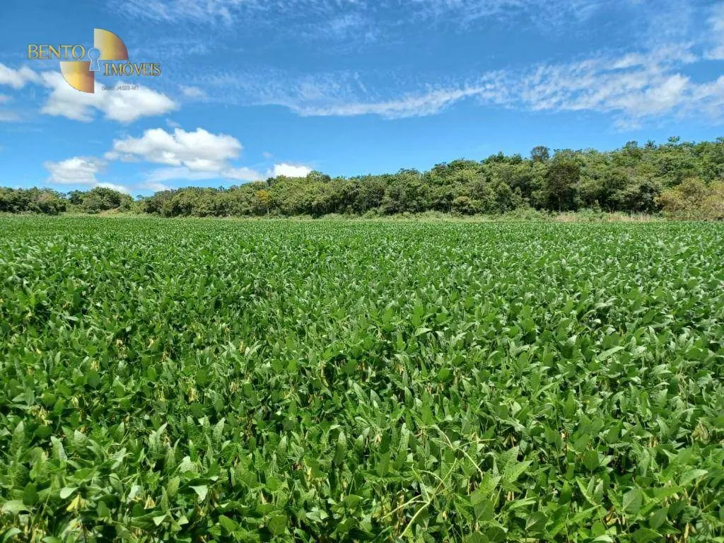 Fazenda à venda de 2.208 ha em Canarana, MT, Brasil