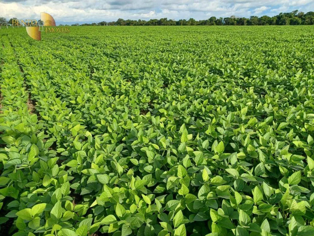 Fazenda à venda de 2.208 ha em Canarana, MT, Brasil