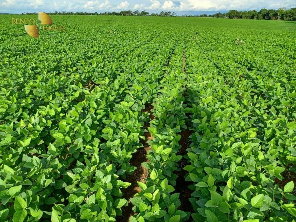 Fazenda à venda de 2.208 ha em Canarana, MT, Brasil