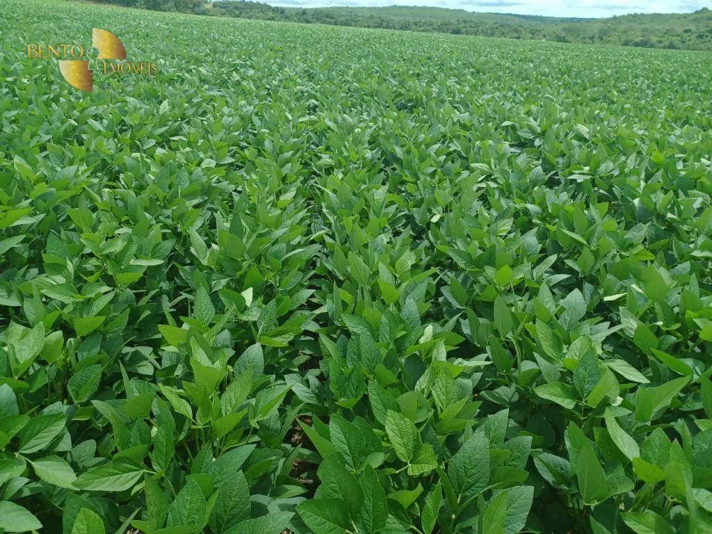 Fazenda à venda de 2.208 ha em Canarana, MT, Brasil
