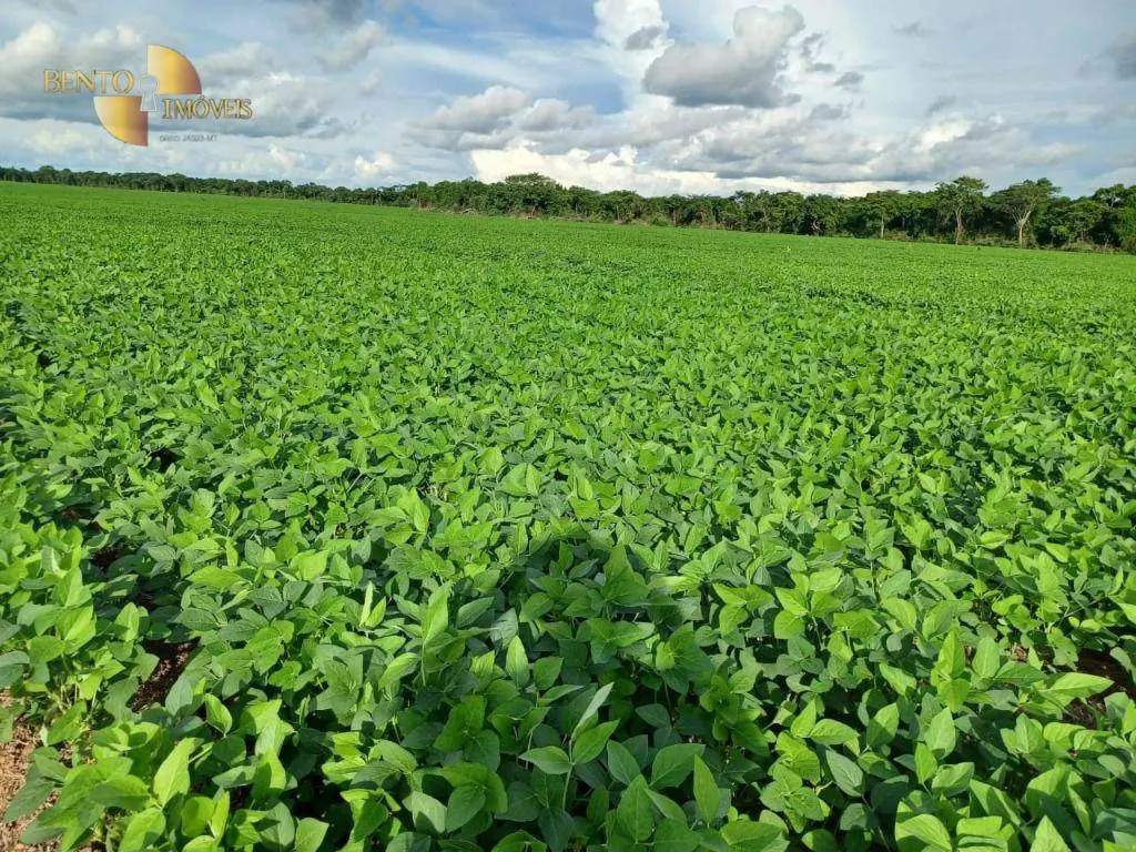 Fazenda à venda de 2.208 ha em Canarana, MT, Brasil