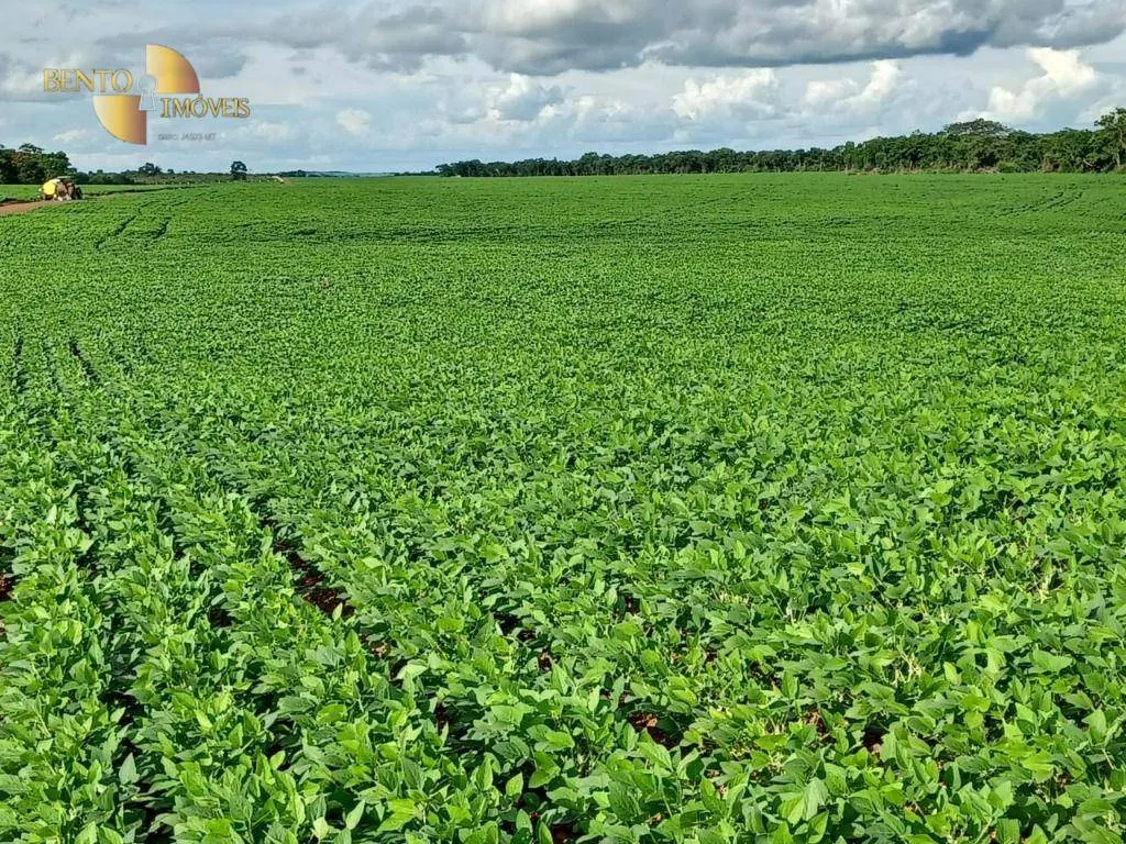 Fazenda à venda de 2.208 ha em Canarana, MT, Brasil