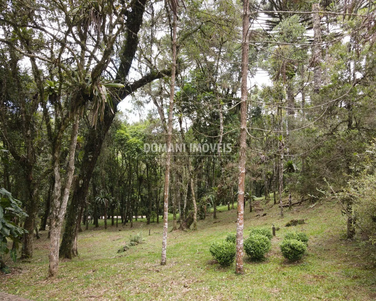 House for sale of 3 acres in Campos do Jordão, SP, Brazil