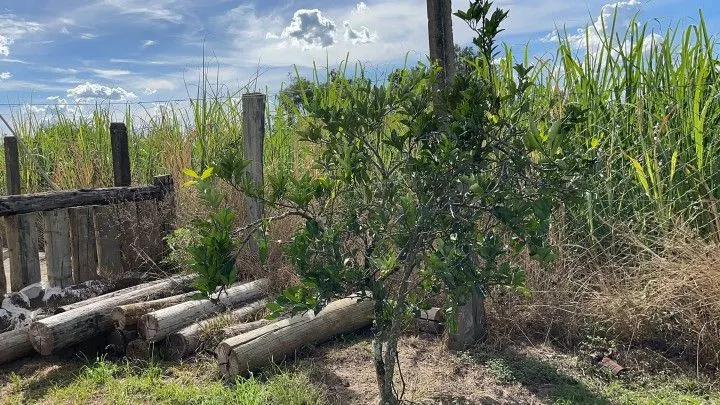 Chácara à venda de 3.400 m² em Santo Antônio da Patrulha, RS, Brasil