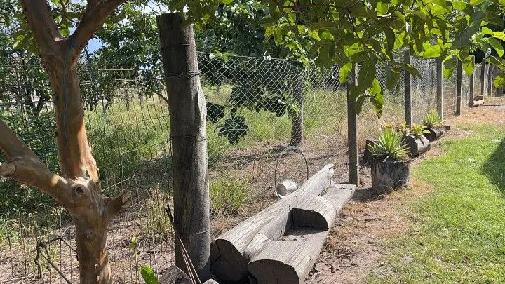 Chácara à venda de 3.400 m² em Santo Antônio da Patrulha, RS, Brasil