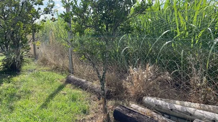 Chácara à venda de 3.400 m² em Santo Antônio da Patrulha, RS, Brasil