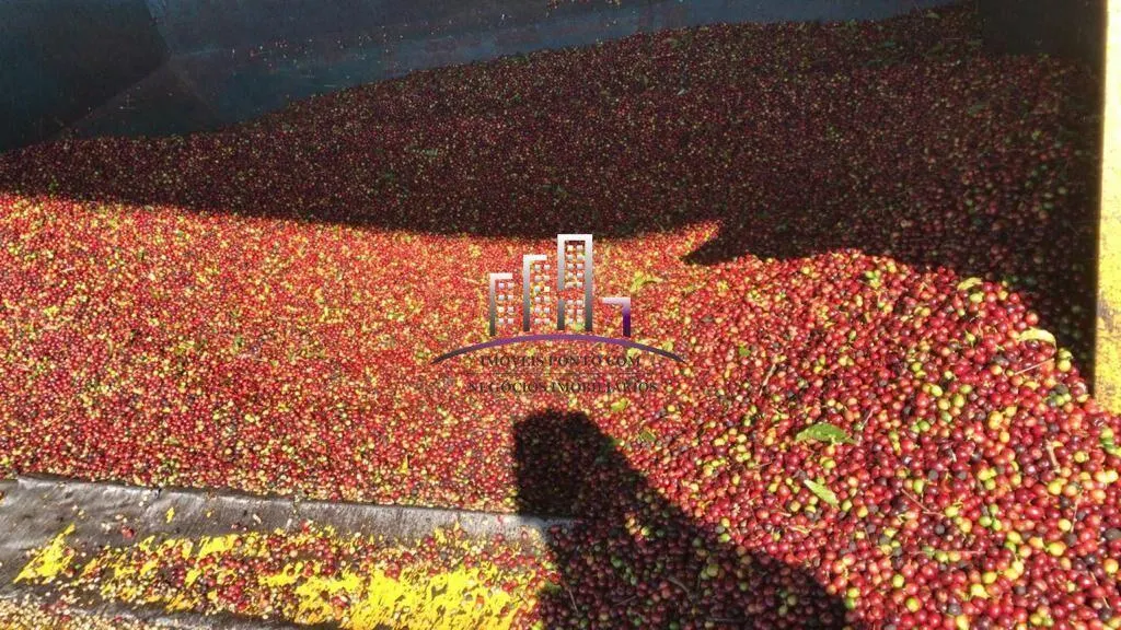 Fazenda à venda de 2.350 ha em Garça, SP, Brasil