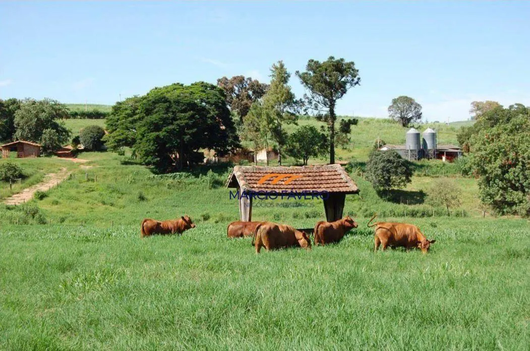 Fazenda à venda de 363 ha em Itapira, SP, Brasil