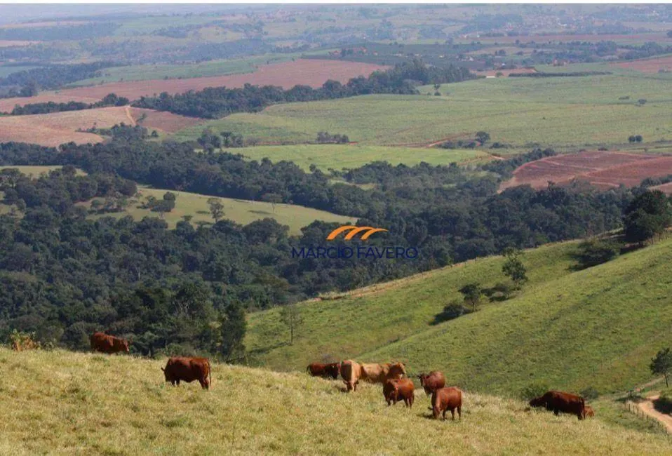 Fazenda à venda de 363 ha em Itapira, SP, Brasil