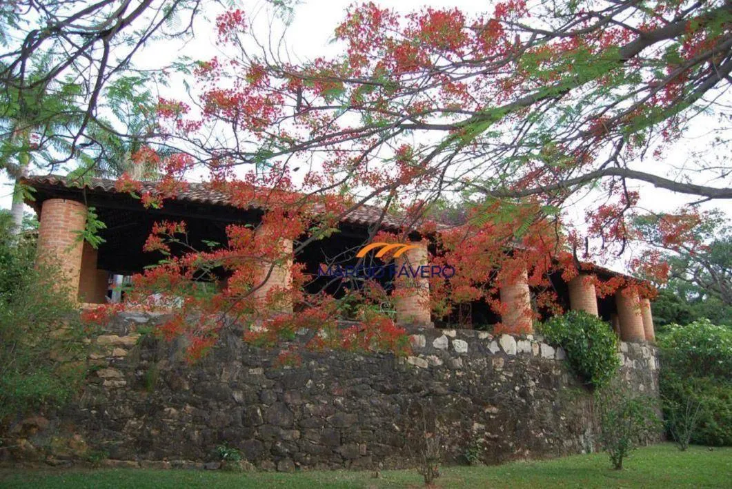 Fazenda à venda de 363 ha em Itapira, SP, Brasil