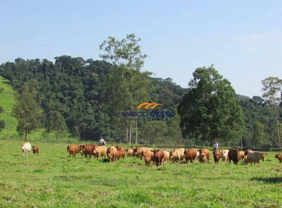 Fazenda à venda de 363 ha em Itapira, SP, Brasil
