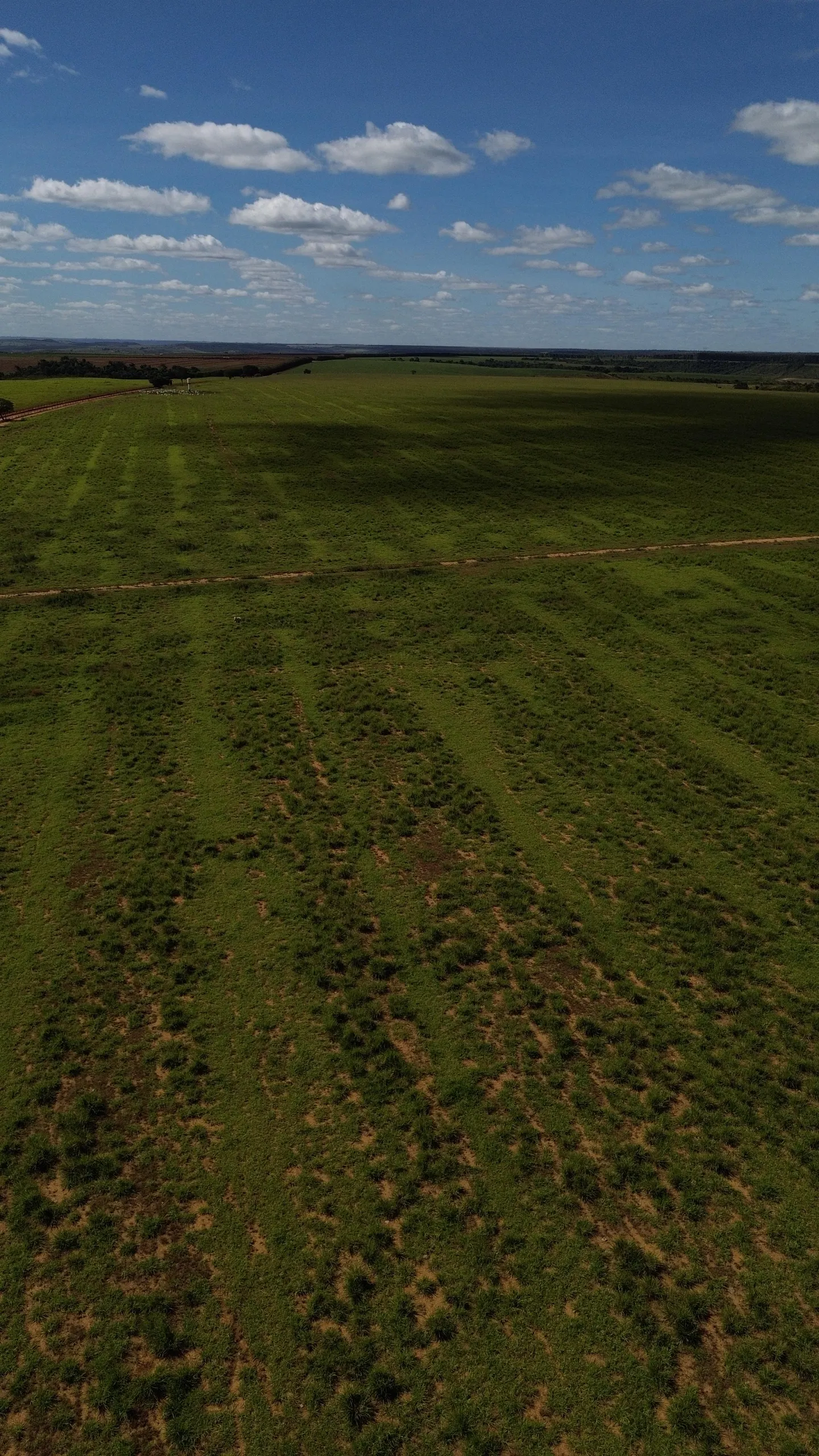 Farm for sale of 1,999 acres in Luziânia, GO, Brazil