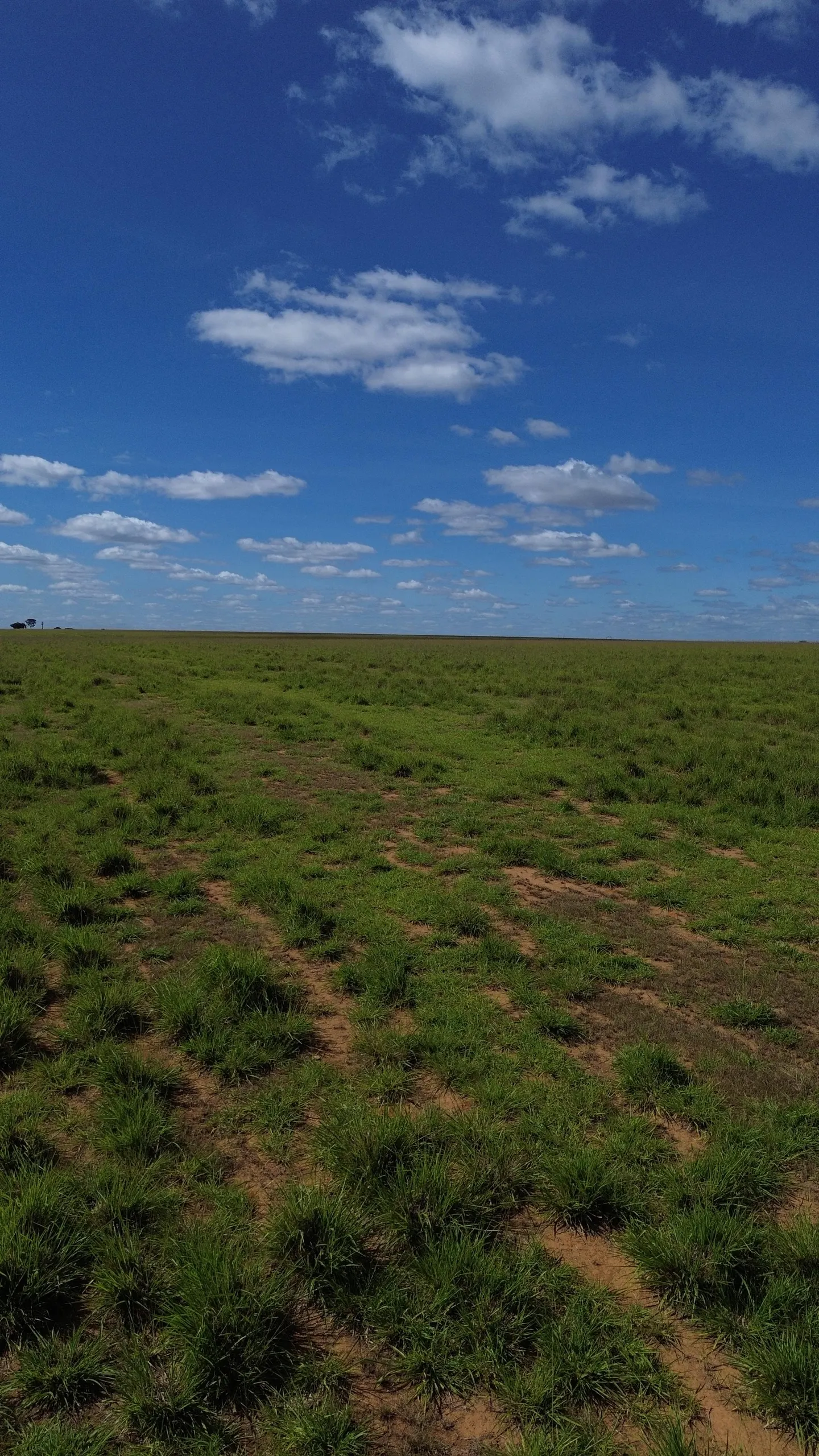 Farm for sale of 1,999 acres in Luziânia, GO, Brazil