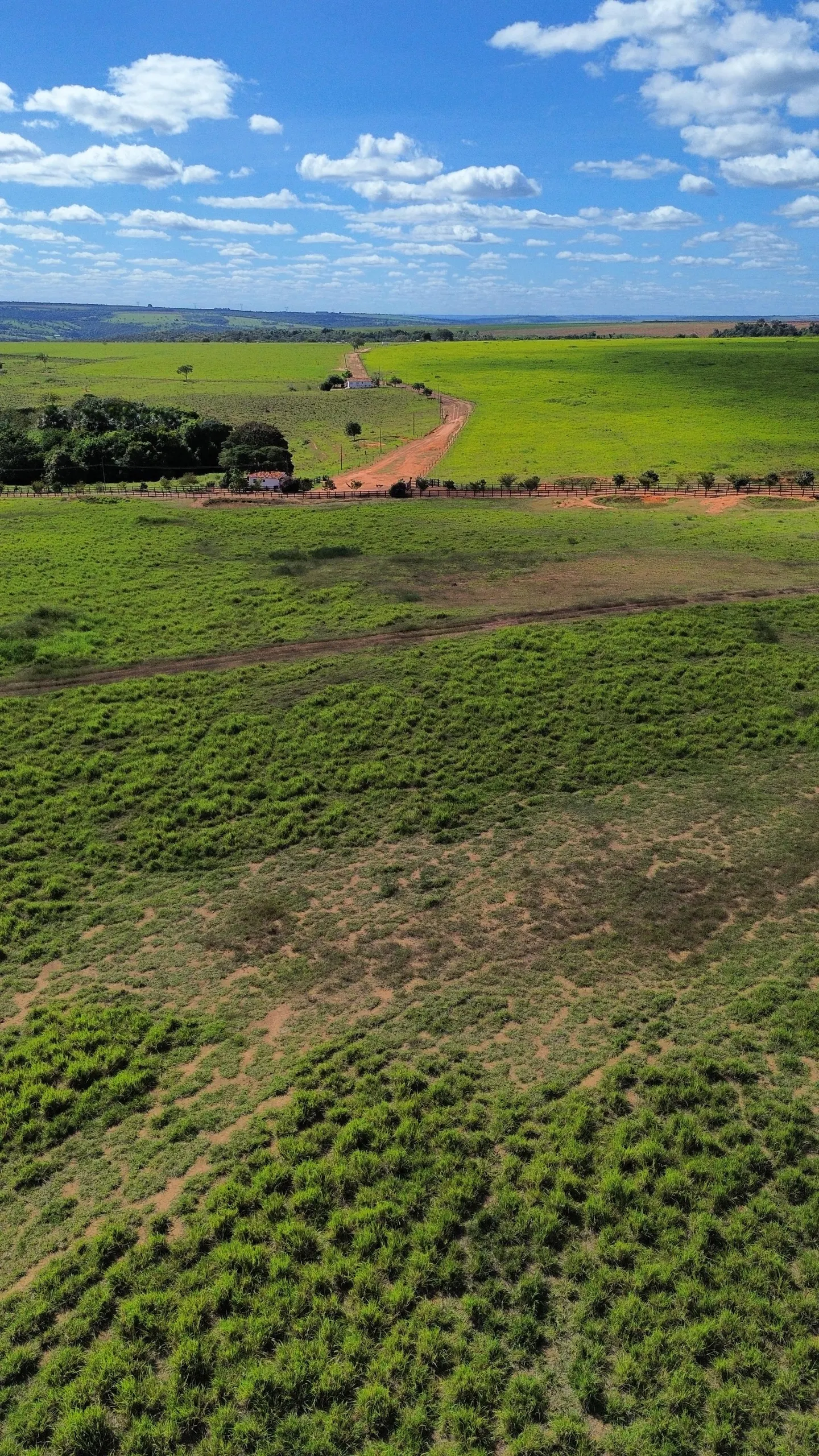 Farm for sale of 1,999 acres in Luziânia, GO, Brazil