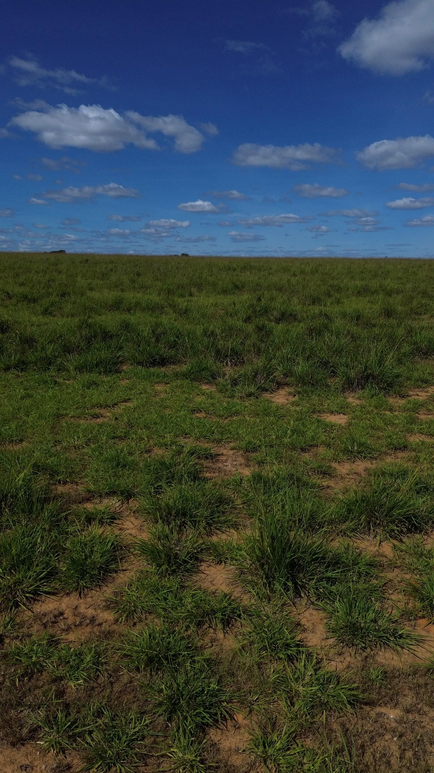 Farm for sale of 1,999 acres in Luziânia, GO, Brazil