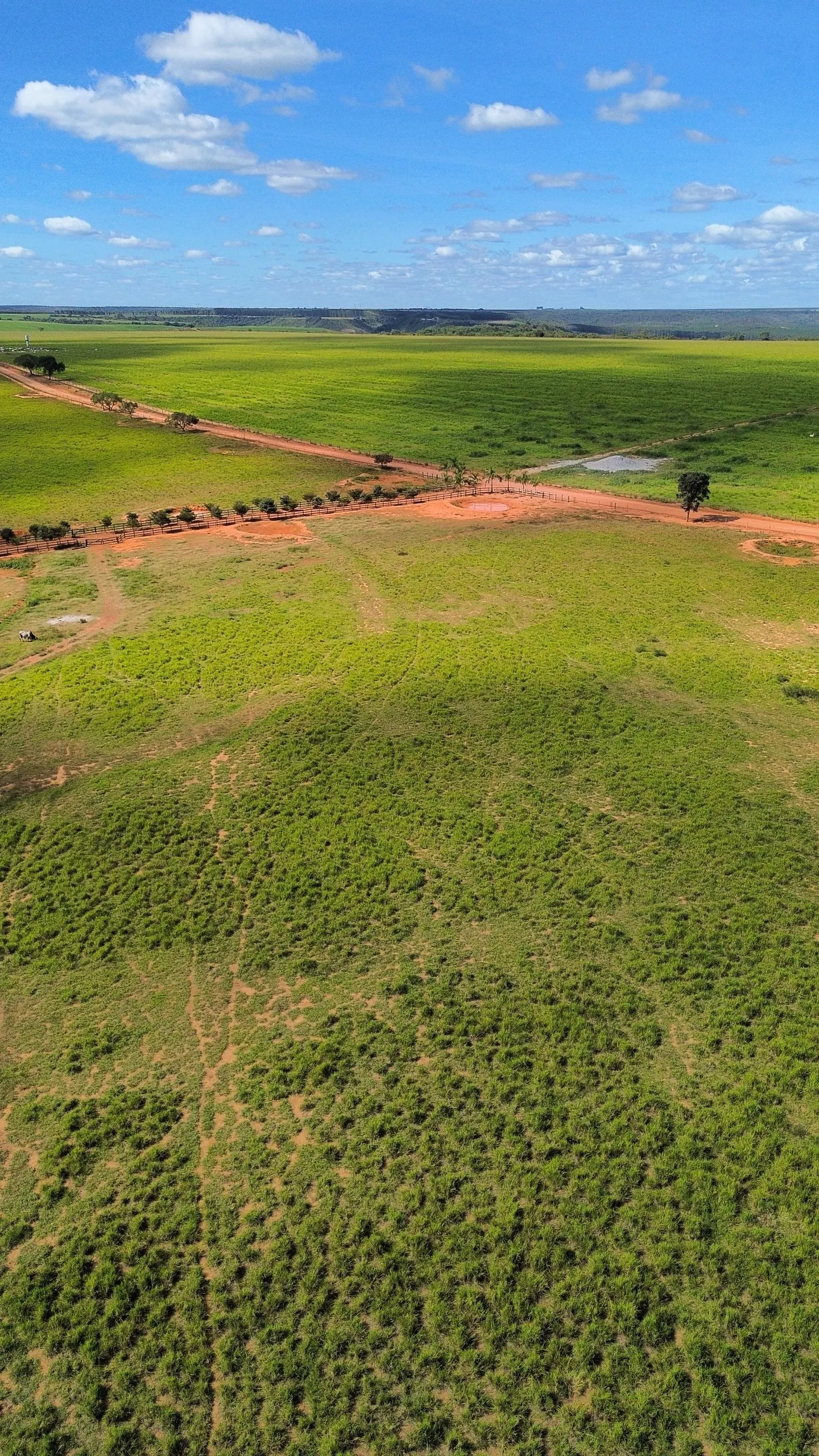 Farm for sale of 1,999 acres in Luziânia, GO, Brazil