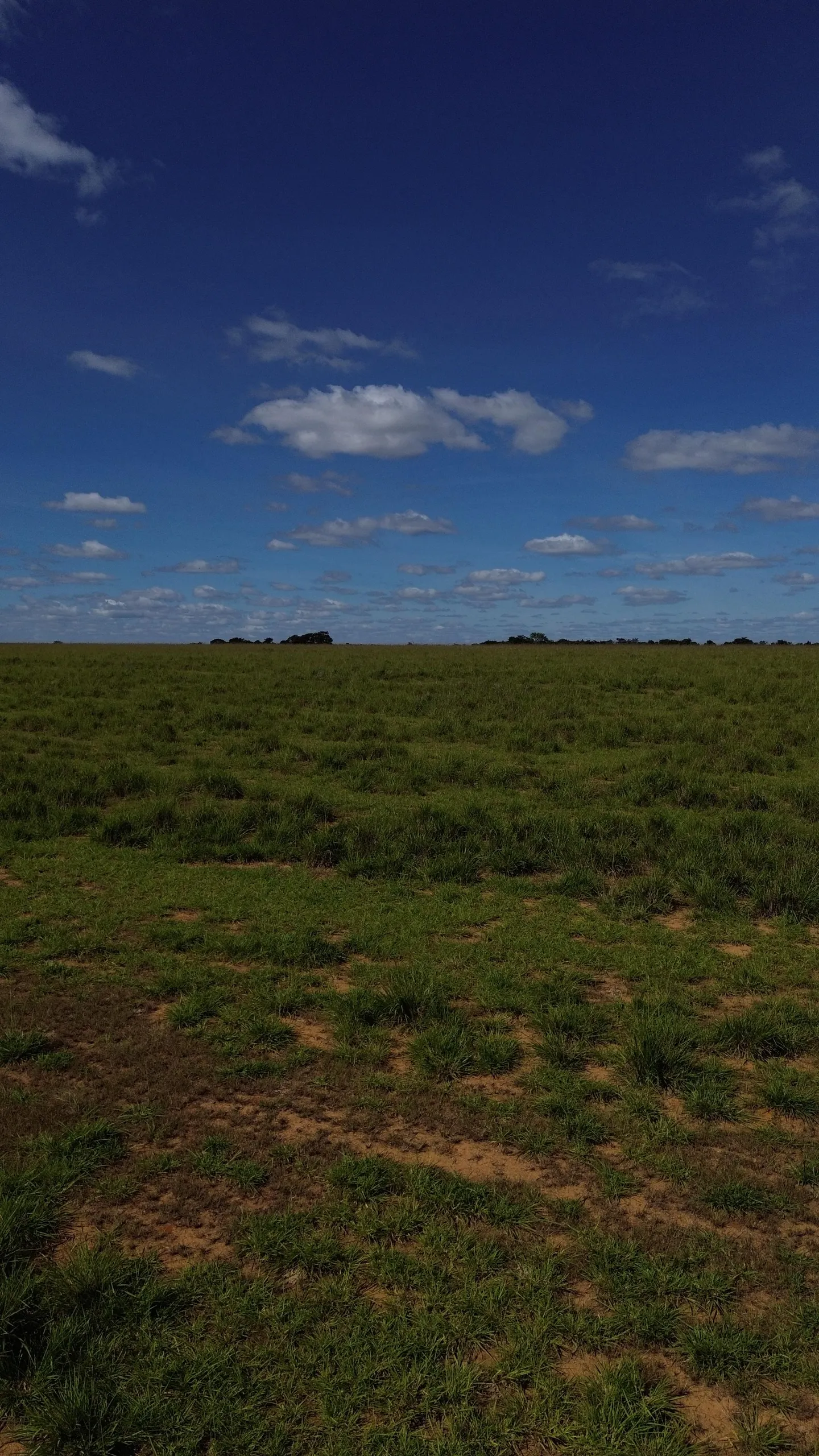 Farm for sale of 1,999 acres in Luziânia, GO, Brazil