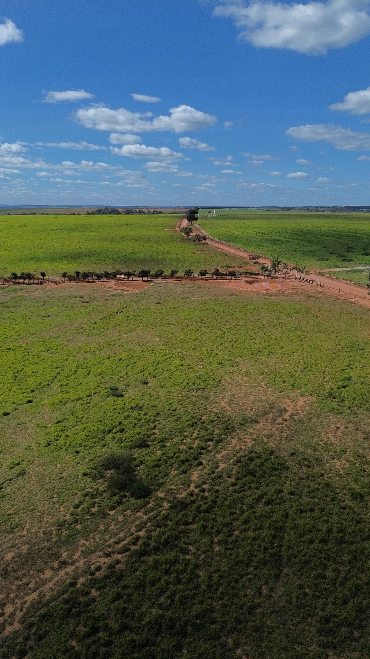 Farm for sale of 1,999 acres in Luziânia, GO, Brazil