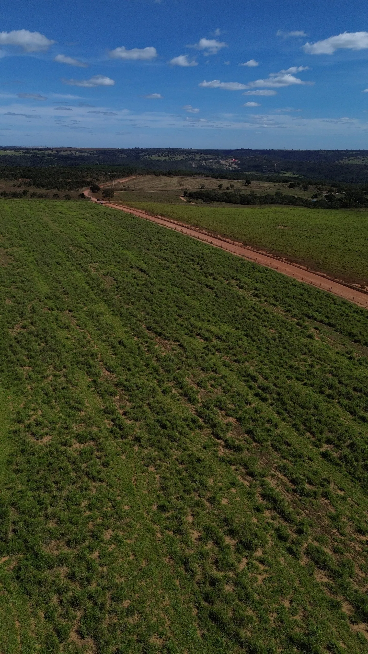 Farm for sale of 1,999 acres in Luziânia, GO, Brazil