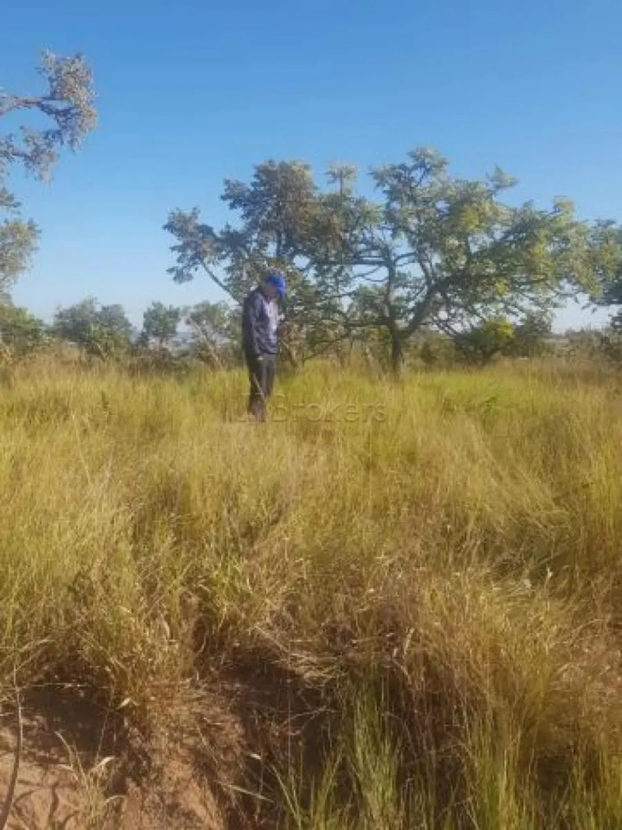 Chácara à venda de 200 m² em Botucatu, SP, Brasil