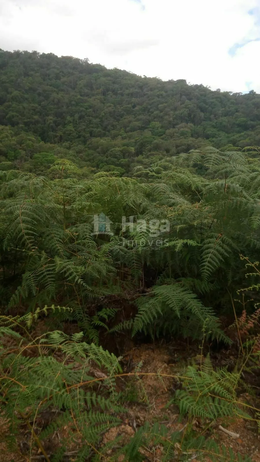 Chácara à venda de 9 ha em Guabiruba, SC, Brasil