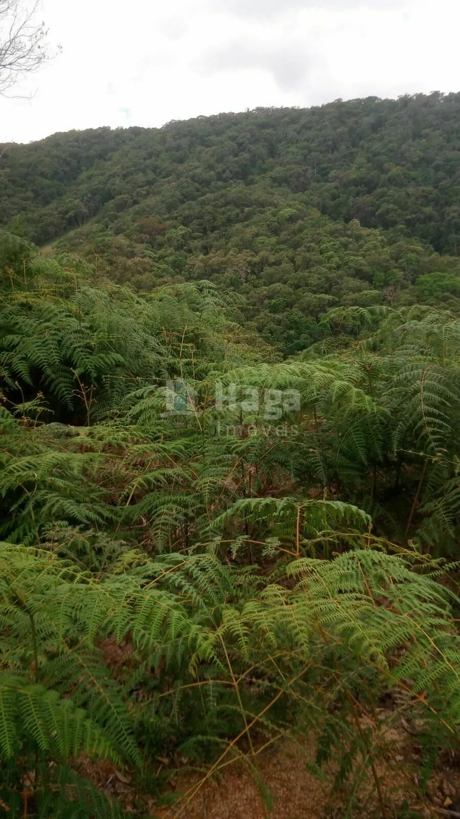 Country home for sale of 21 acres in Guabiruba, SC, Brazil