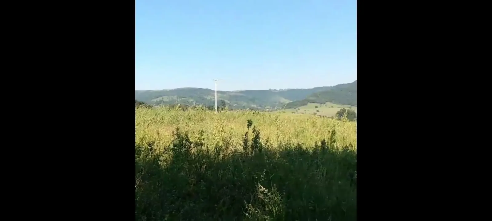 Small farm for sale of 72 acres in Botucatu, SP, Brazil