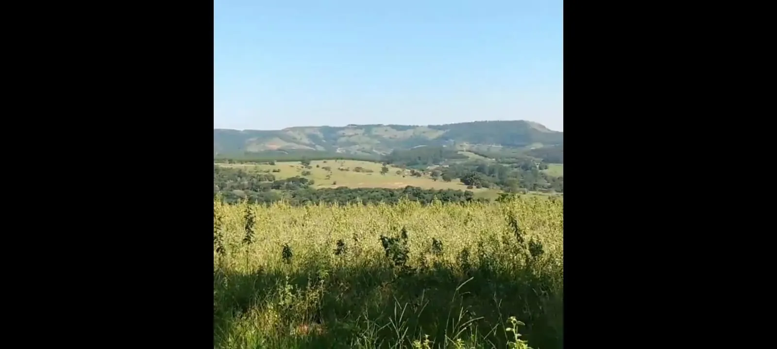 Small farm for sale of 72 acres in Botucatu, SP, Brazil