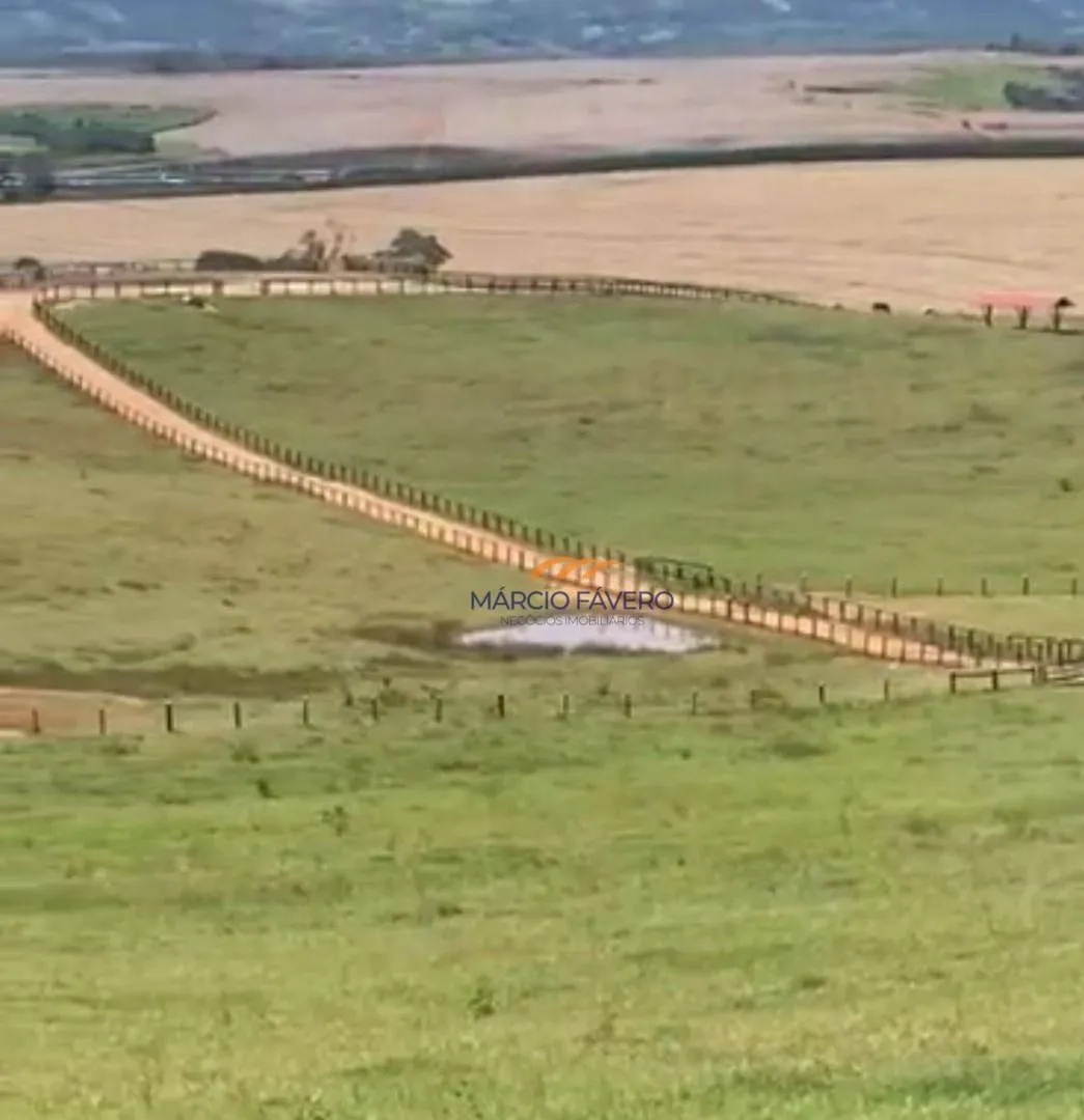 Fazenda à venda de 162 ha em Itapira, SP, Brasil
