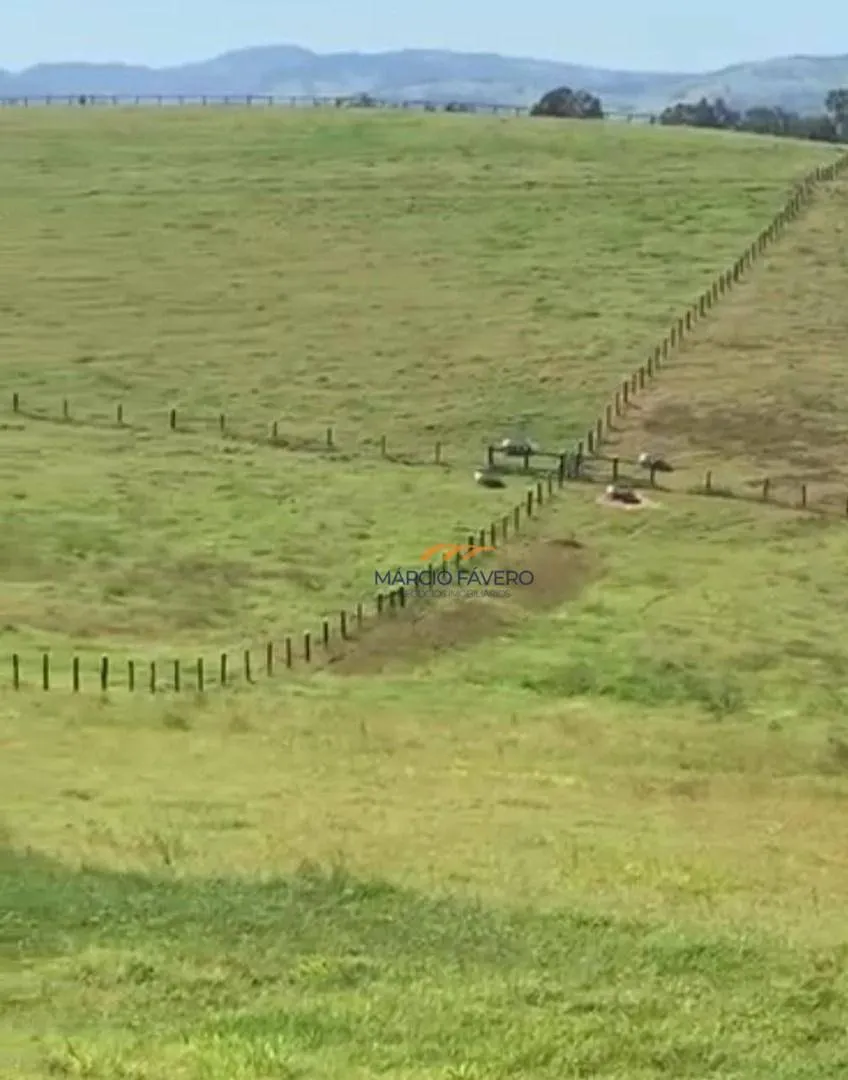 Fazenda à venda de 162 ha em Itapira, SP, Brasil