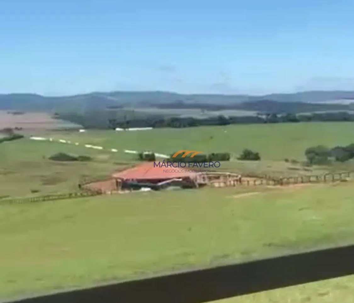 Fazenda à venda de 162 ha em Itapira, SP, Brasil